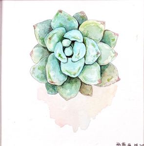 一直在路上，以动漫之...