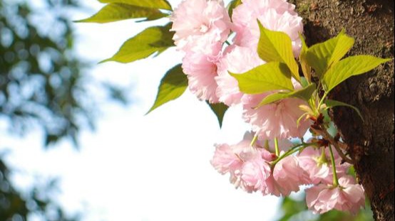 34铜奖《救赎》摄影作品