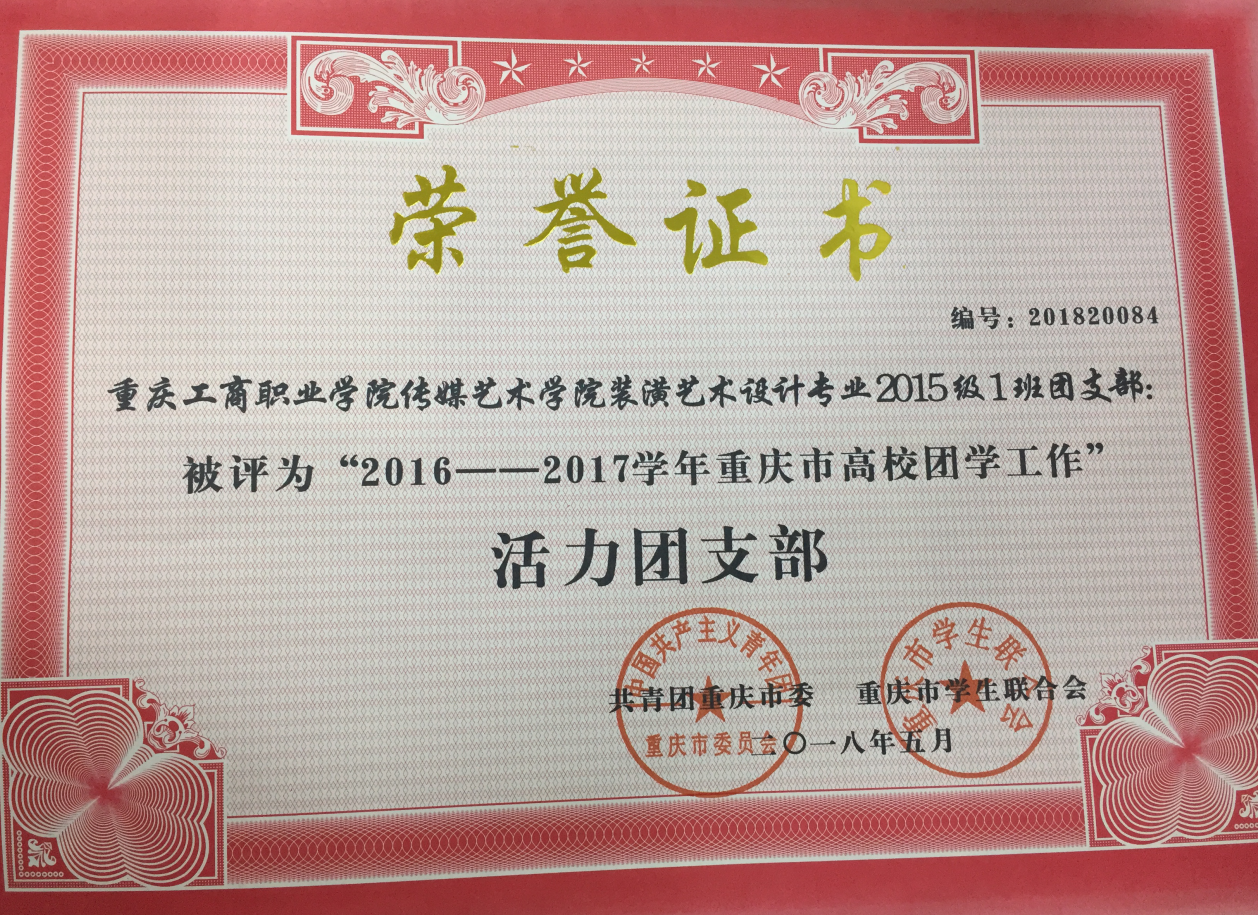 重庆市活力团支部获奖