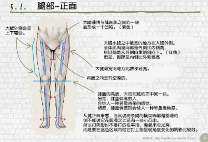 人体基础手绘练习系列...