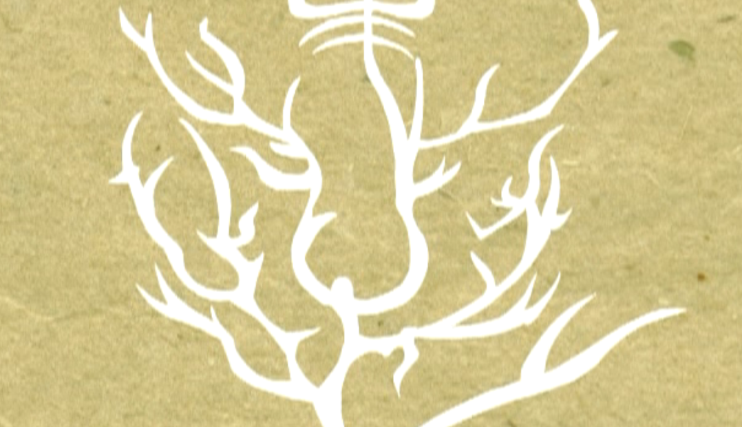 二维动画短片《虎》