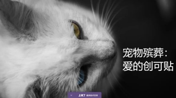 22级网络新闻与传播4班...