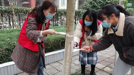 校园美化之校园刷漆护...