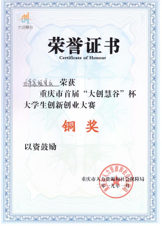 大创慧谷杯 铜奖