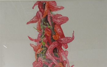 孟新康17视觉传播《红...